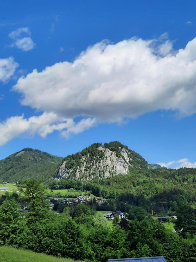 Ferienwohnung Evi Sankt Gilgen Bagian luar foto